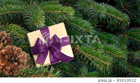 New year Gift box with purple violet ribbon on the background of christmas tree branches New year Gift box with purple violet ribbon on the background of christmas tree branches 85019512
