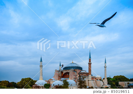 Hagia Sophia dome and minarets in the old Sultanahmet Hagia Sophia dome and minarets in the old Sultanahmet 85019651