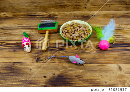 Canned cat food in bowl, cat toys and pet slicker brush on wooden background. Pet care concept Canned cat food in bowl, cat toys and pet slicker brush on wooden background. Pet care concept 85021937
