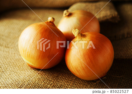 玉ねぎ 85022527