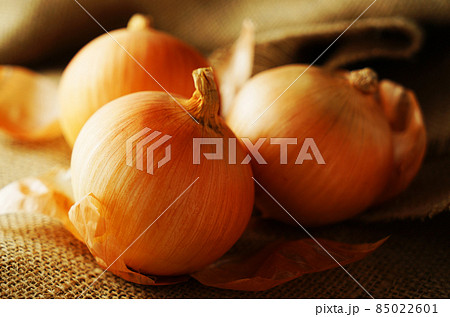 玉ねぎ 85022601