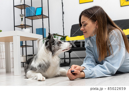 A teenage girl and a dog look each other straight in the eye while lying on the floor in the living room of their home. Intelligent Border Collie Sheepdog. Modern interior design of the apartment. 85022659