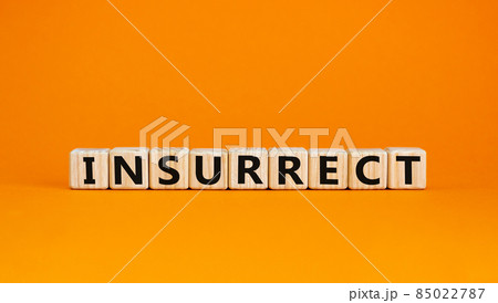 Insurrect symbol. Wooden cubes with the word 'insurrect'. Beautiful orange background, copy space. Business and insurrect concept. Insurrect symbol. Wooden cubes with the word 'insurrect'. Beautiful orange background, copy space. Business and insurrect concept. 85022787