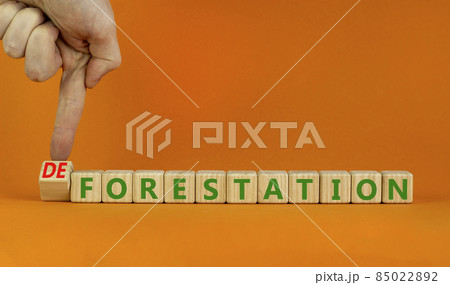 Forestation or deforestaion symbol. Ecologist turns wooden cubes and changes the word deforestation to forestation. Orange background, copy space. Ecological, forestation or deforestaion concept. Forestation or deforestaion symbol. Ecologist turns wooden cubes and changes the word deforestation to forestation. Orange background, copy space. Ecological, forestation or deforestaion concept. 85022892
