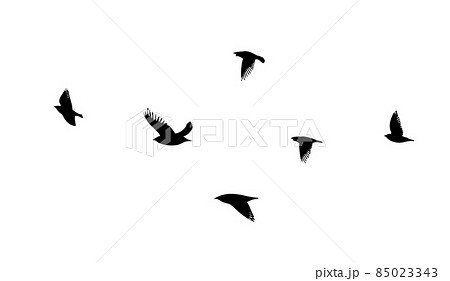 A flock of flying birds. Free birds. Vector illustration 85023343