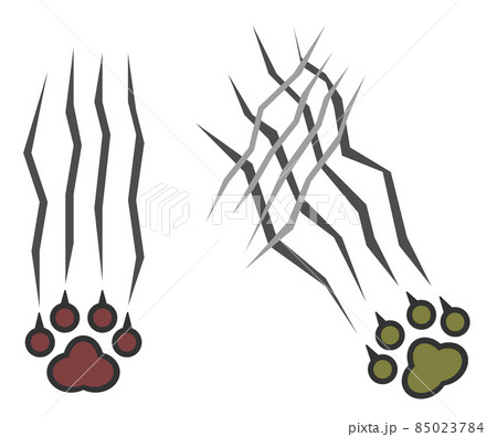 鋭い爪で傷を付ける危険動物のイラスト 85023784