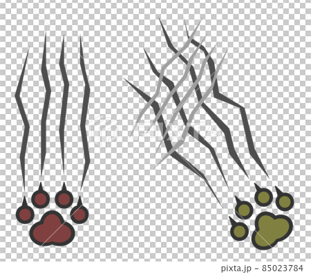 Illustration of a dangerous animal that scratches with sharp claws 85023784