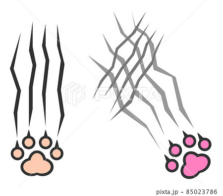 鋭い爪で傷を付ける危険動物のイラストのイラスト素材