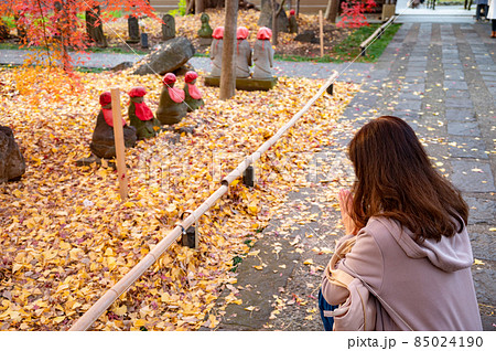 秋の九品仏浄真寺の地蔵様に手を合わせる女性 秋の九品仏浄真寺の地蔵様に手を合わせる女性 85024190