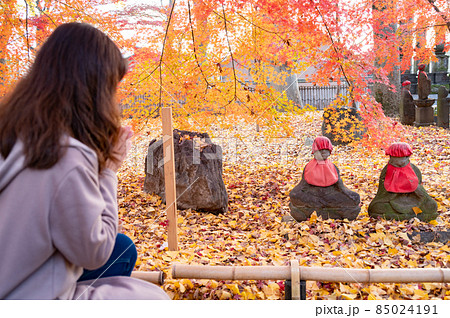 秋の九品仏浄真寺の地蔵様に手を合わせる女性 秋の九品仏浄真寺の地蔵様に手を合わせる女性 85024191