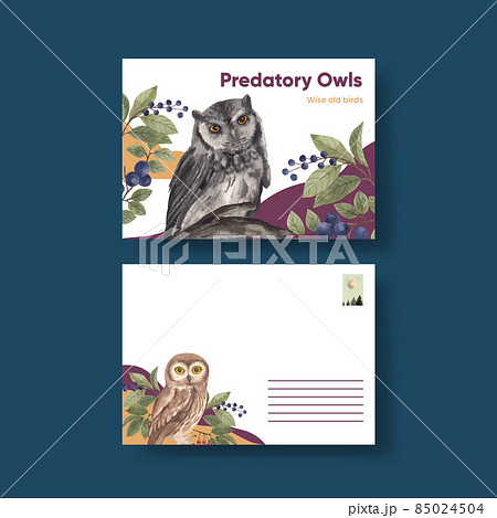 Postcard template with owl bird concept,watercolor style 85024504