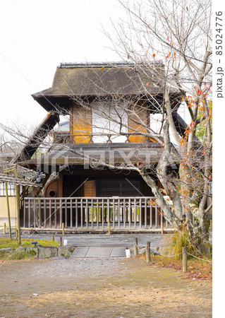 京都　晩秋の渉成園　傍花閣 85024776