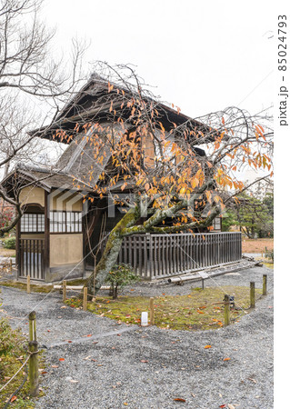 京都　晩秋の渉成園　傍花閣 85024793