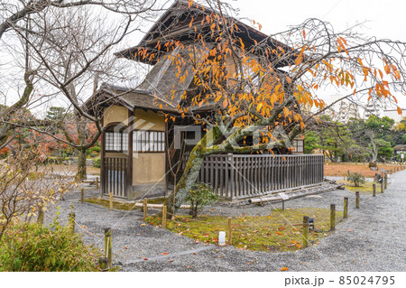京都　晩秋の渉成園　傍花閣 85024795