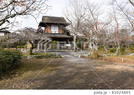京都　晩秋の渉成園　傍花閣 85024805