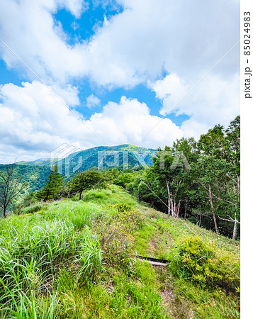 信州ビーナスライン・茶臼山登山（扉峠コース）　登山道から茶臼山の眺め 85024983