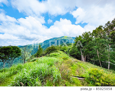 信州ビーナスライン・茶臼山登山(扉峠コース) 登山道から茶臼山の眺め 信州ビーナスライン・茶臼山登山(扉峠コース) 登山道から茶臼山の眺め 85025058