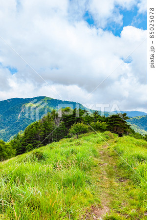 信州ビーナスライン・茶臼山登山（扉峠コース） 85025078