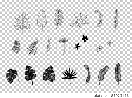 手描きの観葉植物などの葉っぱのパーツ モノクロで背景透過 ラフにインクで書いたようなタッチのイラスト素材