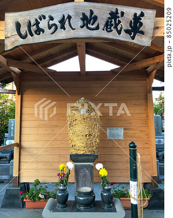 東京茗荷谷・林泉寺のしばられ地蔵 東京茗荷谷・林泉寺のしばられ地蔵 85025209