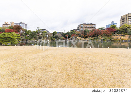 京都　晩秋の渉成園　印月池 85025374