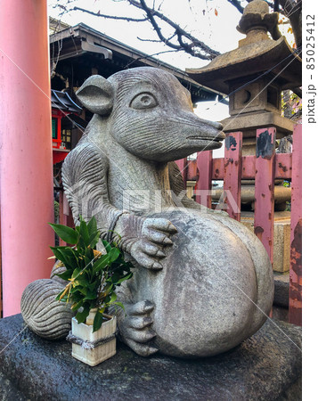 東京秋葉原・柳森神社のおたぬき様 東京秋葉原・柳森神社のおたぬき様 85025412