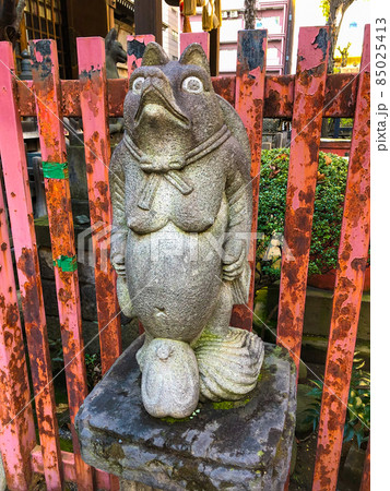 東京秋葉原・柳森神社のおたぬき様の写真素材 [85025413] - PIXTA