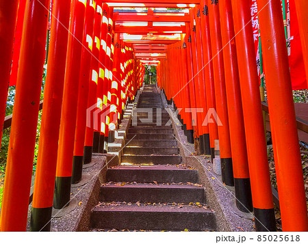 東京赤坂・山王日枝神社の千本鳥居 東京赤坂・山王日枝神社の千本鳥居 85025618