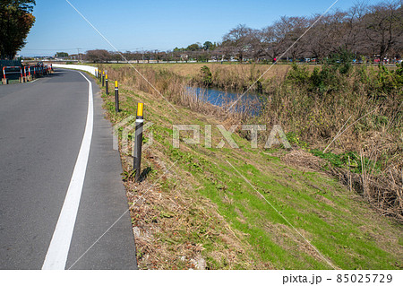 芝川 大宮第二公園沿い 秋の風景 芝川 大宮第二公園沿い 秋の風景 85025729