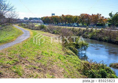 芝川　大和田公園沿い　大宮体育館付近　秋の風景　 85025823