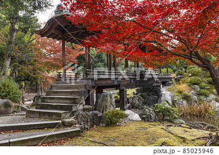 京都 晩秋の渉成園 回棹廊 京都 晩秋の渉成園 回棹廊 85025946