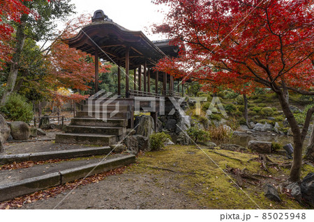 京都 晩秋の渉成園 回棹廊 京都 晩秋の渉成園 回棹廊 85025948