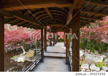 京都　晩秋の渉成園　回棹廊 85025956