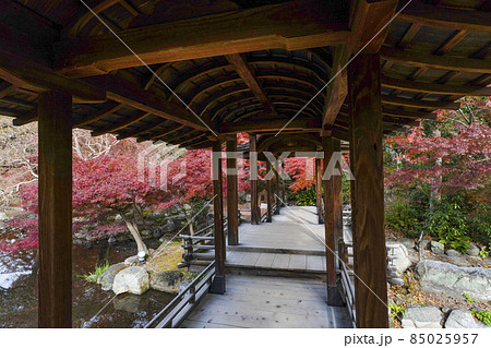 京都 晩秋の渉成園 回棹廊 京都 晩秋の渉成園 回棹廊 85025957