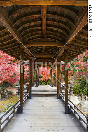 京都　晩秋の渉成園　回棹廊 85025958