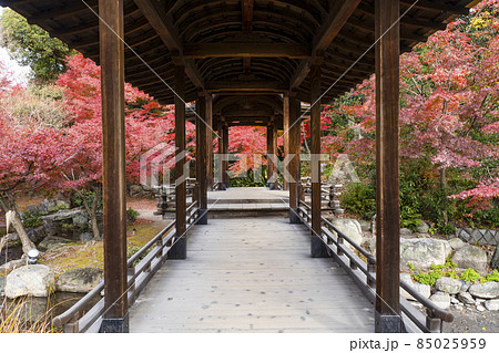 京都　晩秋の渉成園　回棹廊 85025959