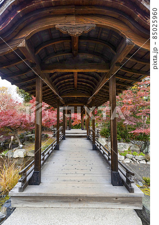 京都　晩秋の渉成園　回棹廊 85025960