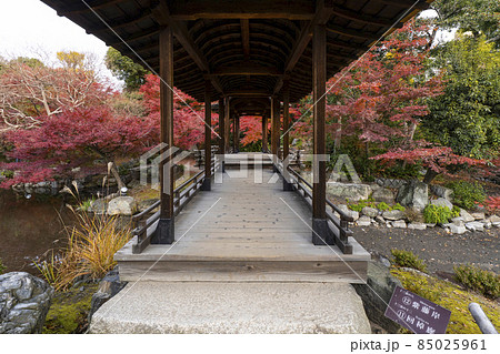 京都　晩秋の渉成園　回棹廊 85025961