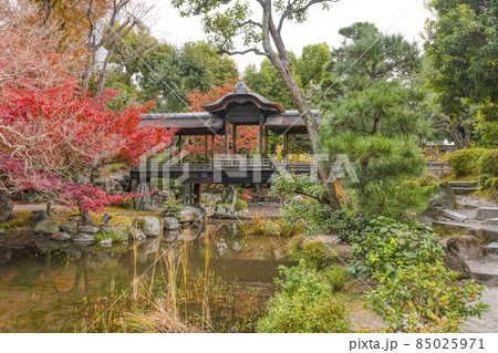 京都 晩秋の渉成園 回棹廊 京都 晩秋の渉成園 回棹廊 85025971