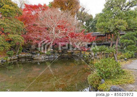 京都 晩秋の渉成園 回棹廊 京都 晩秋の渉成園 回棹廊 85025972