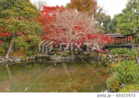 京都 晩秋の渉成園 回棹廊 京都 晩秋の渉成園 回棹廊 85025973