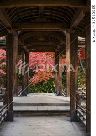 京都　晩秋の渉成園　回棹廊 85025980