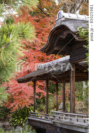 京都 晩秋の渉成園 回棹廊 京都 晩秋の渉成園 回棹廊 85025981