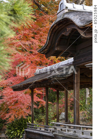 京都 晩秋の渉成園 回棹廊 京都 晩秋の渉成園 回棹廊 85025984