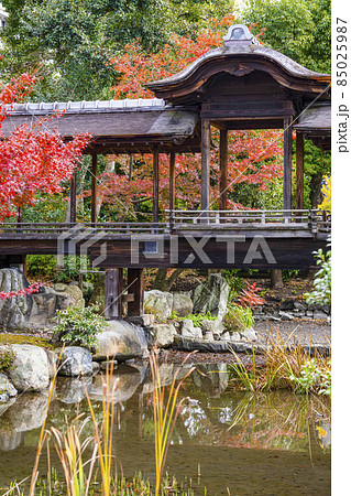 京都　晩秋の渉成園　回棹廊 85025987