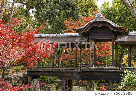 京都　晩秋の渉成園　回棹廊 85025989
