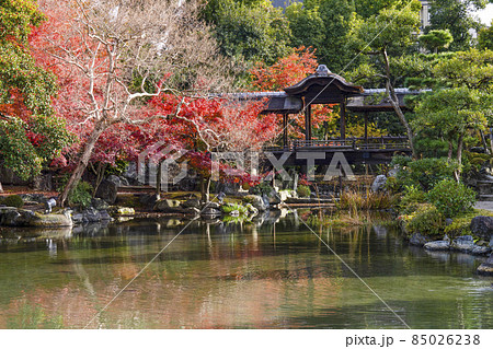 京都 晩秋の渉成園 回棹廊 京都 晩秋の渉成園 回棹廊 85026238
