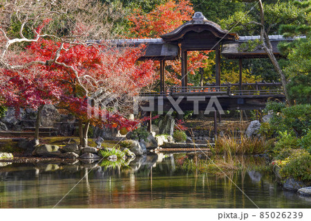 京都 晩秋の渉成園 回棹廊 京都 晩秋の渉成園 回棹廊 85026239