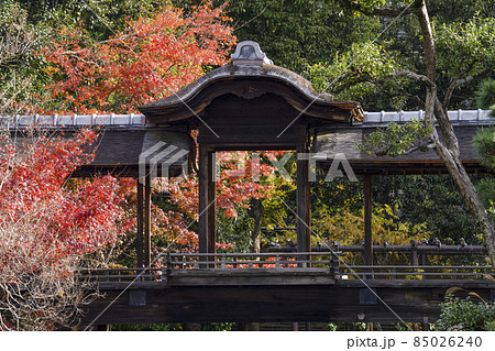 京都 晩秋の渉成園 回棹廊 京都 晩秋の渉成園 回棹廊 85026240