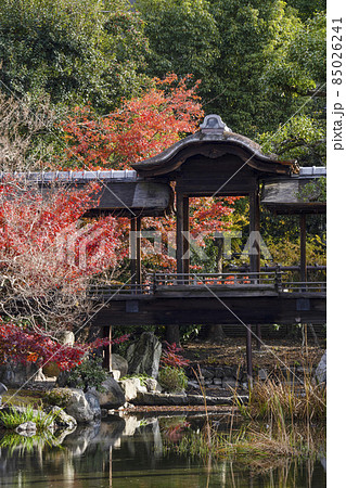 京都 晩秋の渉成園 回棹廊 京都 晩秋の渉成園 回棹廊 85026241